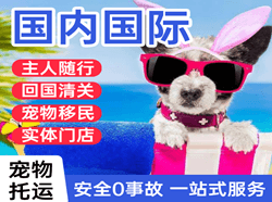 鸡西机场邮寄国际宠物托运 【国
